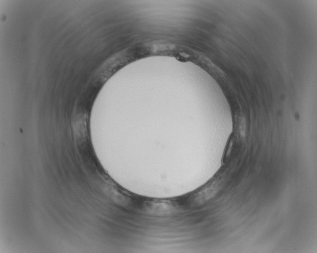 X0000062910475200602031901