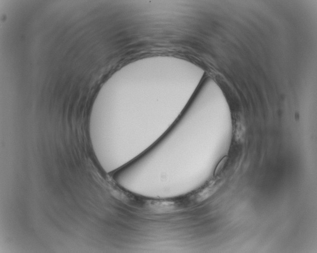 X0000062910476200602031901