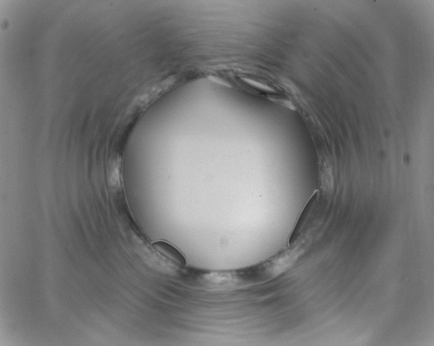 X0000062910477200602031901