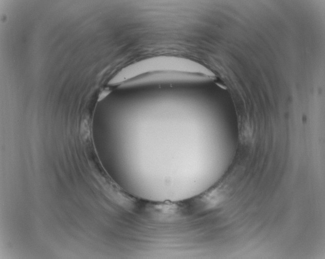 X0000062910478200602031901