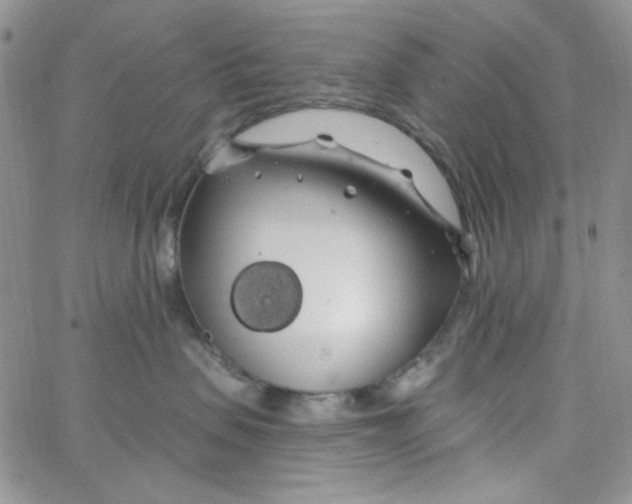 X0000062910479200602031901