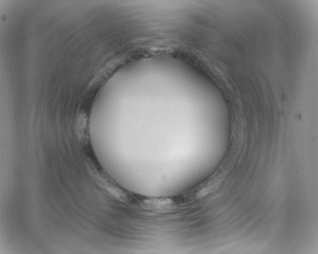 X0000062910480200602031901