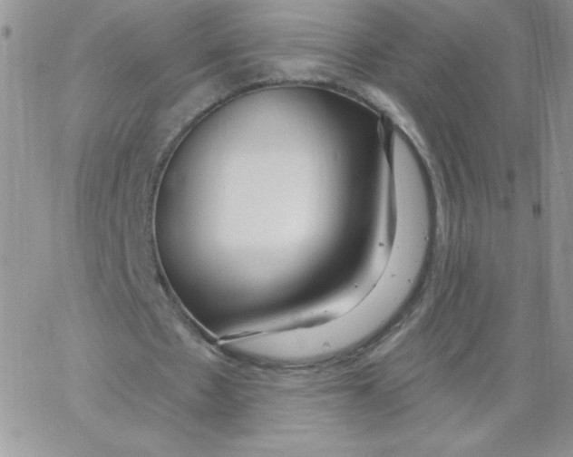 X0000062910481200602031901