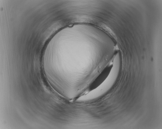 X0000062910482200602031901