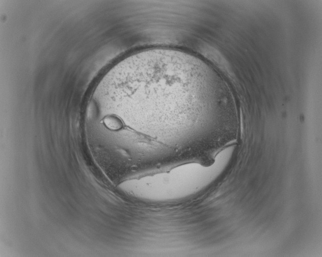 X0000062910483200602031901