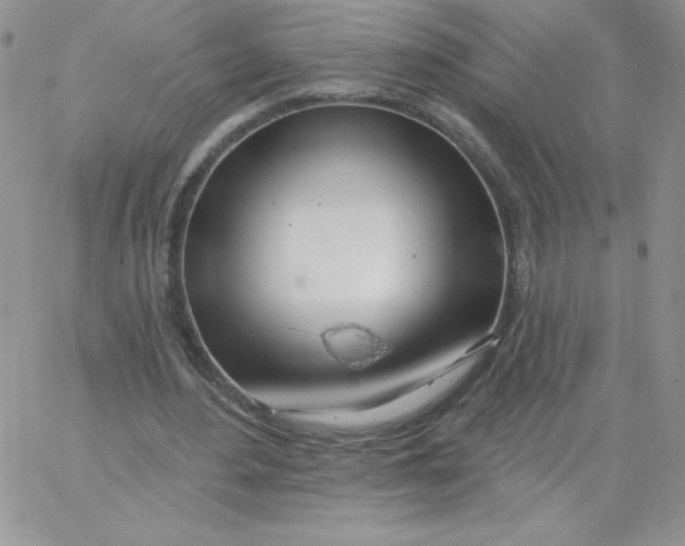 X0000062910484200602031901