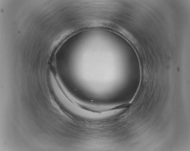 X0000062910485200602031901