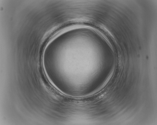 X0000062910486200602031901