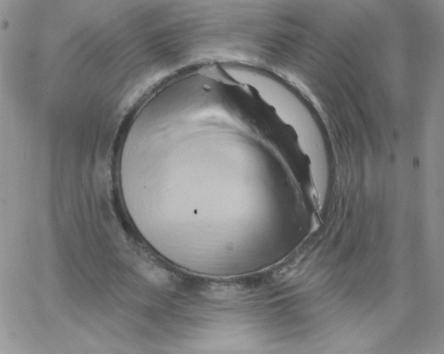 X0000062910487200602031901