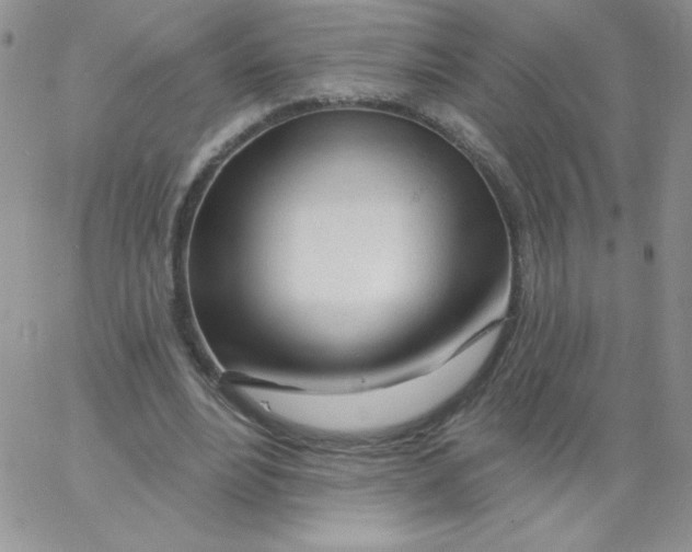 X0000062910488200602031900