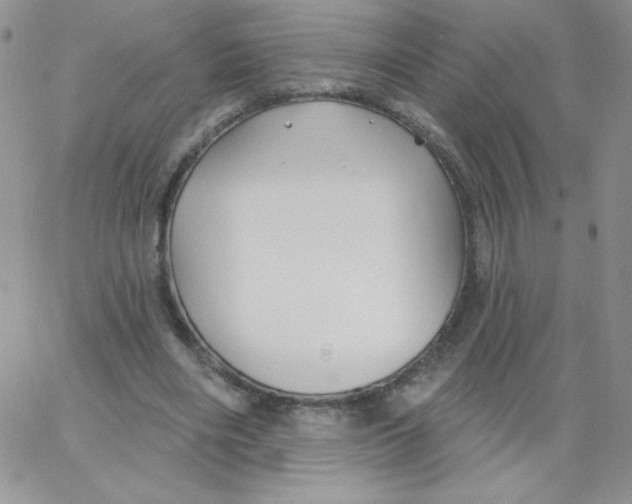 X0000062910490200602031900