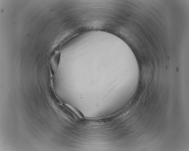 X0000062910494200602031900