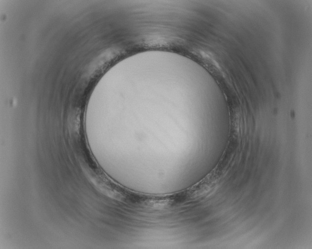 X0000062910495200602031900