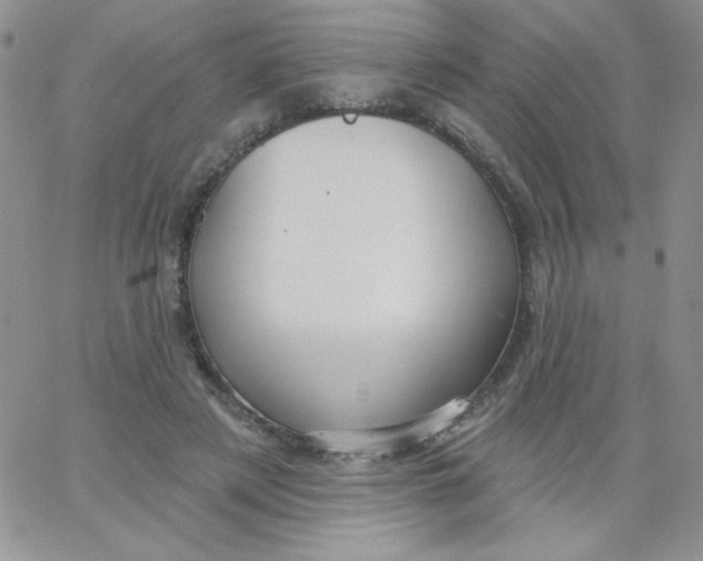 X0000062910497200602031900