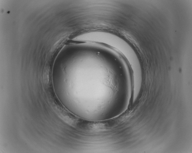 X0000062910501200602031900