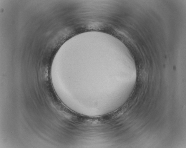 X0000062910502200602031900