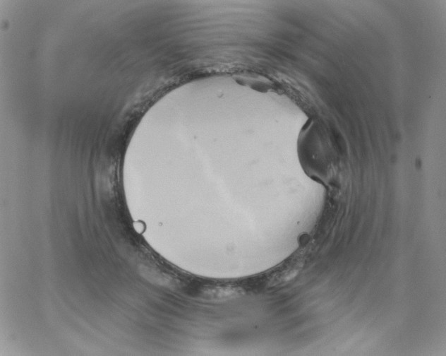 X0000062910503200602031900