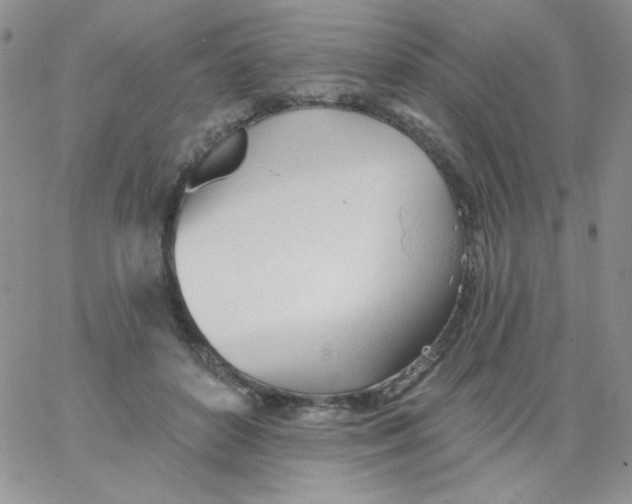 X0000062910504200602031900