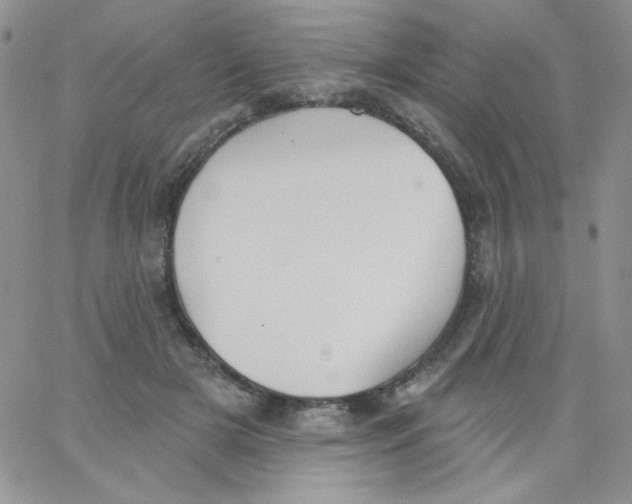 X0000062910505200602031900