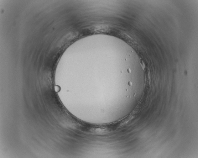 X0000062910506200602031900