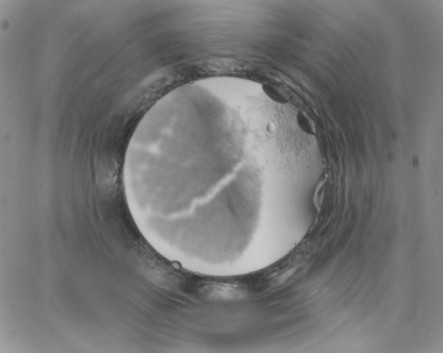 X0000062910507200602031900