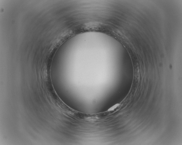 X0000062910508200602031900