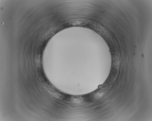 X0000062910510200602031900