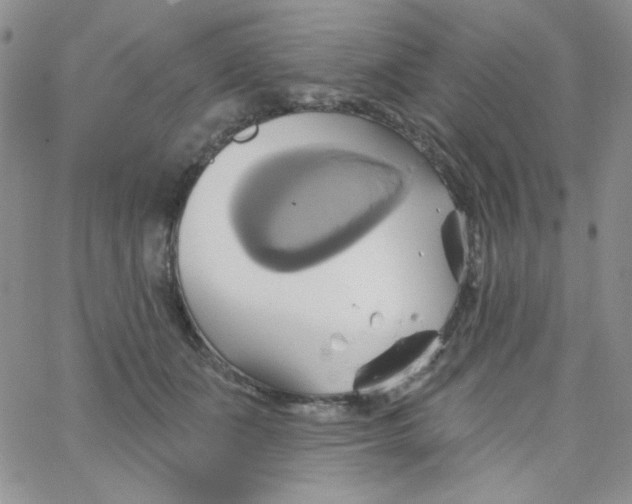 X0000062910511200602031900