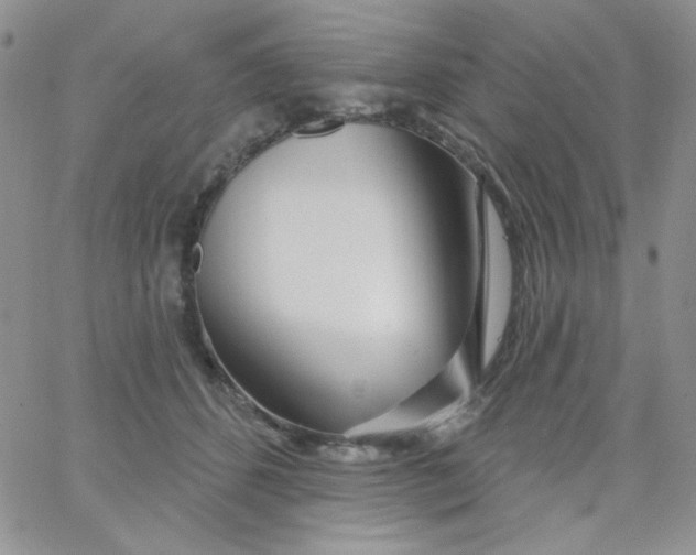 X0000062910512200602031900