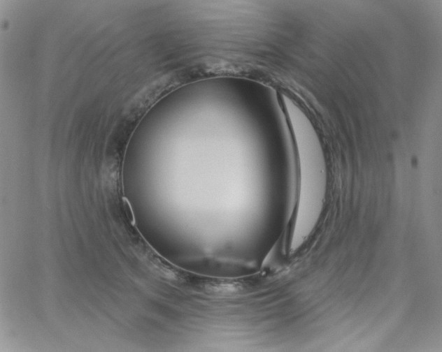 X0000062910513200602031900