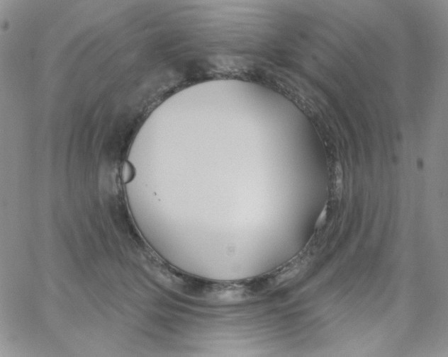 X0000062910514200602031900