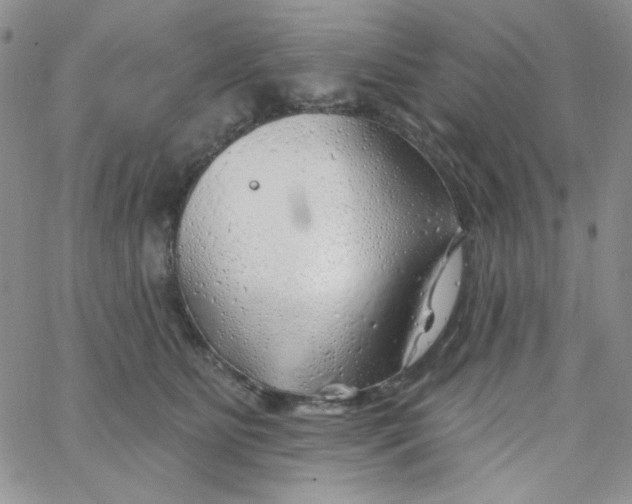 X0000062910515200602031900