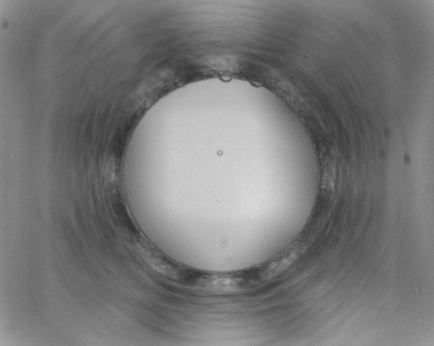 X0000062910518200602031900