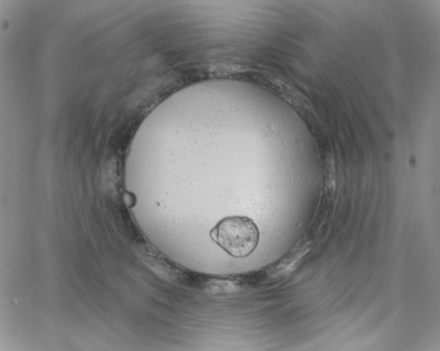 X0000062910519200602031900