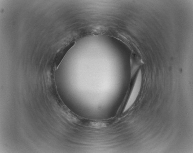 X0000062910520200602031900