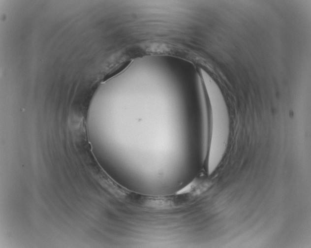 X0000062910521200602031900