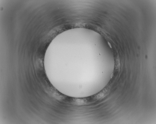 X0000062910522200602031900