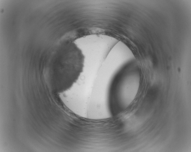 X0000062910523200602031900