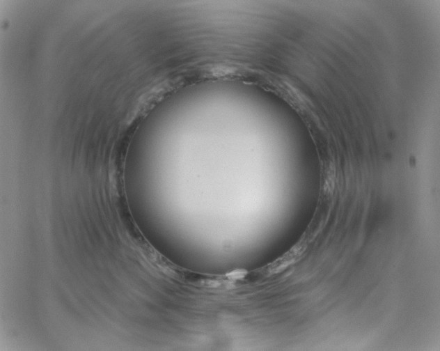 X0000062910524200602031900