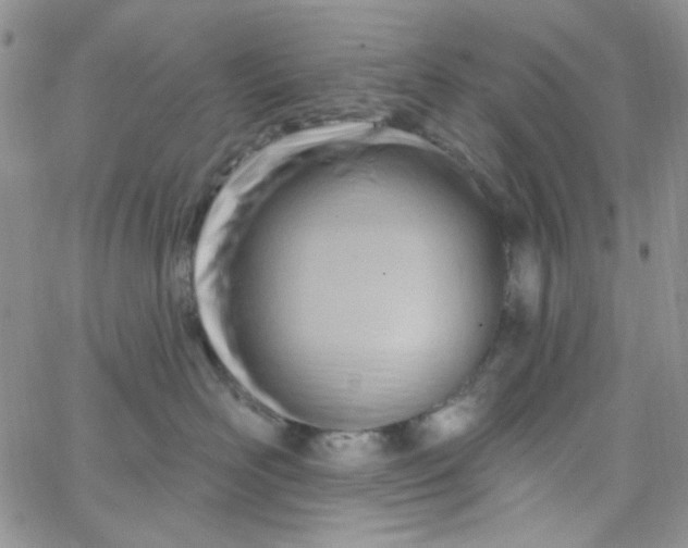 X0000062910526200602031900