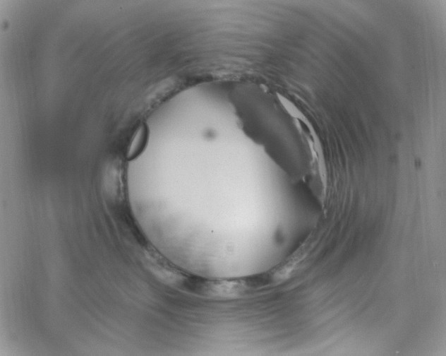 X0000062910527200602031900