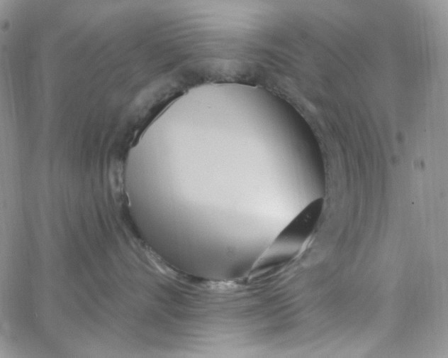 X0000062910528200602031900