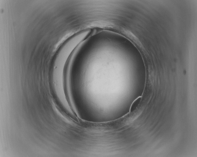 X0000062910530200602031859