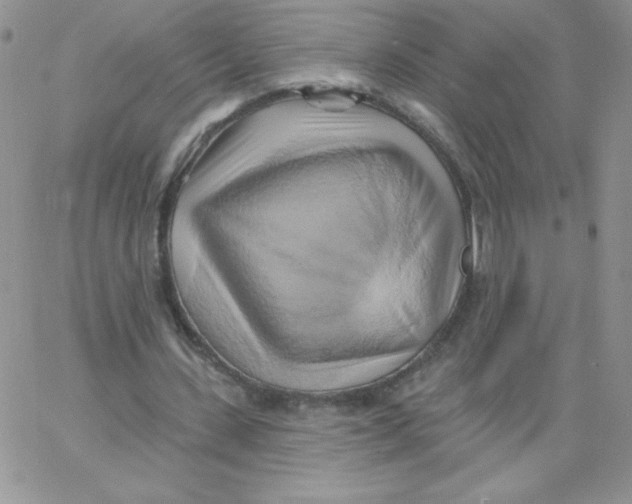 X0000062910531200602031859