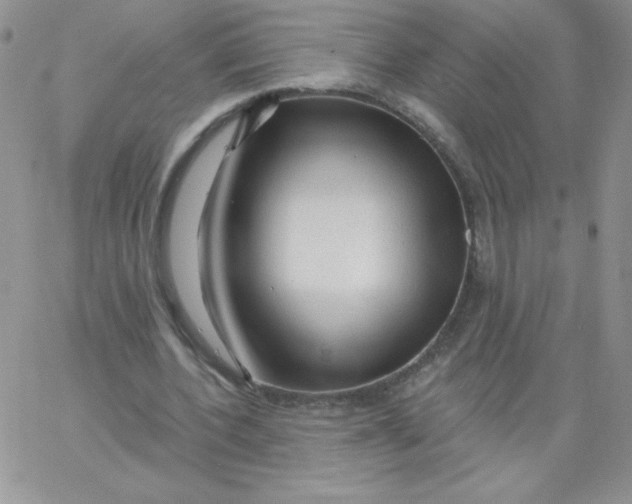 X0000062910532200602031859