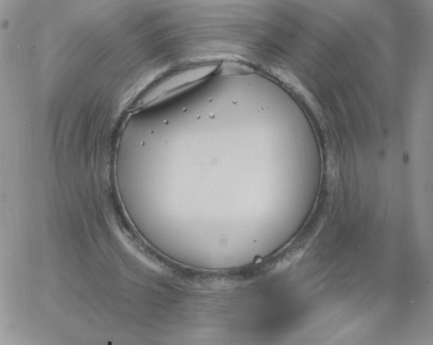 X0000062910533200602031859