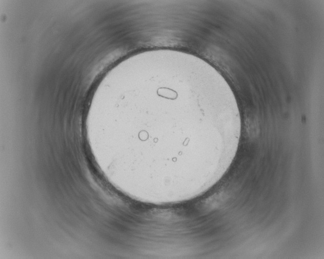 X0000062910534200602031859