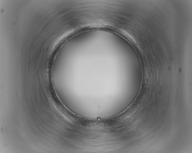 X0000062910535200602031859