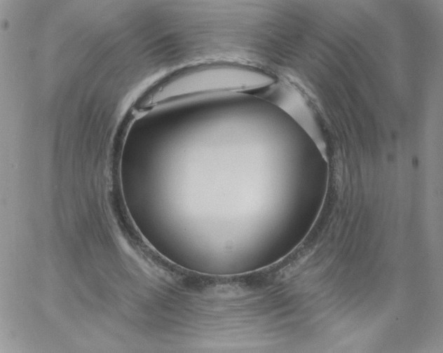 X0000062910536200602031859