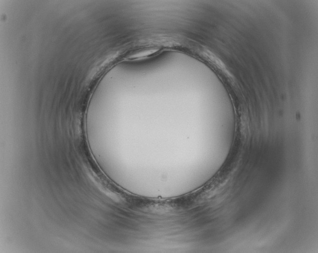 X0000062910537200602031859